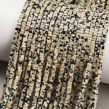 Natural Dalmatian Jasper Beads Strands, Square, Heishi Beads, 2.5x2.5x1.5mm, Hole: 0.7mm, about 263pcs/strand, 14.96''(38cm)