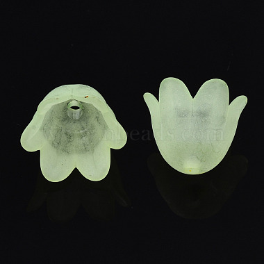 Transparent Acrylic Bead Caps(FACR-N005-002B)-3