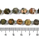 Natural Rhyolite Jasper Beads Strands(G-O201B-122F)-5