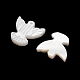 Natural Freshwater Shell Beads(SH-CBA93AD-10)-2