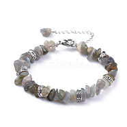 Natural Labradorite Chip Bracelets, with Flat Round Tibetan Style Alloy Spacers Beads and Stainless Steel Findings, 7-1/4 inch~7-3/8 inch(18.4~18.8cm)(BJEW-JB04489-03)