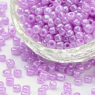 6/0 Glass Seed Beads, Ceylon, Round, Round Hole, Violet, 6/0, 4mm, Hole: 1.5mm, about 500pcs/50g, 50g/bag, 18bags/2pounds(SEED-US0003-4mm-150)