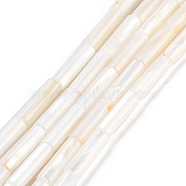Freshwater Shell Beads Strands, Column, White, 13x4mm, Hole: 0.5~1mm, about 30pcs/strand, 15 inch(38.1cm)(BSHE-L037-13)