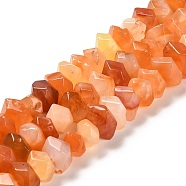 Natural Botswana Agate Beads Strands, Faceted, Nuggets, 10~11x8~10x7~8mm, Hole: 1mm, about 22~23pcs/strand, 7.09~7.48''(18~19cm)(G-N327-05-19)