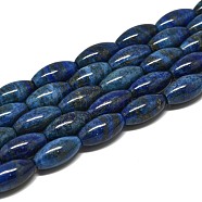 Natural Lapis Lazuli Beads Strands, Rice, 21x10~10.5mm, Hole: 0.7mm, about 19pcs/strand, 15.35''(39cm)(G-K311-11C-04)