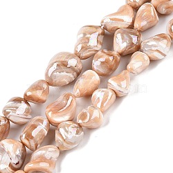 Natural Trochid Shell/Trochus Shell Beads Strands, Nuggets, Handmade Oil Painting, PeachPuff, 11~22.5x11.5~19.5x9.5~16.5mm, Hole: 0.4mm, about 23pcs/strand, 14.76''(37.5cm)(SSHEL-T017-01)