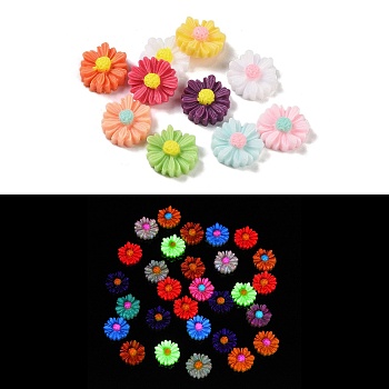 Luminous Resin Decoden Cabochons, Glow in the Dark, Two Tone Flower, Mixed Color, 11x10.5x4mm