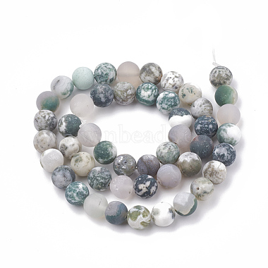 Natural Tree Agate Beads Strands(X-G-T106-038)-3