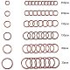 anneaux brisés de fer(IFIN-PH0023-11R)-4