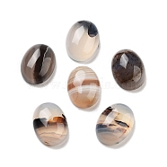 Natural Dendritic Agate Cabochons, Oval, 16x12x5mm(G-G145-01B-57)