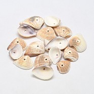 Dyed Natural Ark Shell Beads, Sea Shell Beads, Blanched Almond, 15~26x12~22x4~7mm, Hole: 1mm, about 870pcs/500g(BSHE-O007-61B)