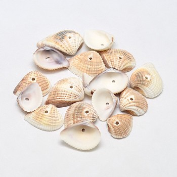 Dyed Natural Ark Shell Beads, Sea Shell Beads, Blanched Almond, 15~26x12~22x4~7mm, Hole: 1mm, about 870pcs/500g