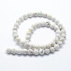 Natural Magnesite Beads Strands(G-I199-27-4mm)-2