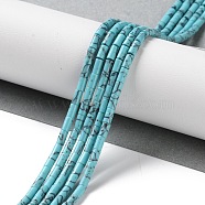 Dyed Synthetic Turquoise Beads Strands, Column, 4x2~2.5mm, Hole: 0.6mm, about 89pcs/strand, 15.04''(38.2cm)(G-B124-A01-01)