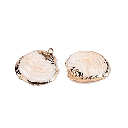 Natural Sea Shell Pendants, Shell Shaped Charms with Golden Tone Iron Loops, Seashell Color, 18~27x15~27x4.5~8.5mm, Hole: 1.4~1.8mm(SSHEL-N038-20)