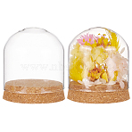 Glass Dome Cover, Decorative Display Case, Cloche Bell Jar Terrarium with Cork Base, Arch, Clear, 80x91mm(AJEW-WH0165-40C)