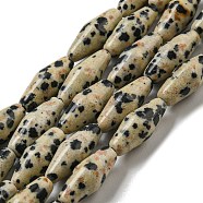 Natural Dalmatian Jasper Beads Strands, Bicone, 14~15x6mm, Hole: 1mm, about 25~26pcs/strand, 14.57~15.16''(37~38.5cm)(G-A223-A08-01)