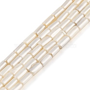 Electroplated Natural Freshwater Shell Beads Strands, Column, WhiteSmoke, 8x4~4.5mm, Hole: 0.8mm, about 50pcs/strand, 15.94 inch(40.5cm)(BSHE-G036-23)