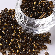 6/0 Glass Seed Beads, Silver Lined Round Hole, Round, Brown, 4mm, Hole: 1.5mm, about 6639 pcs/pound(SEED-A005-4mm-53)