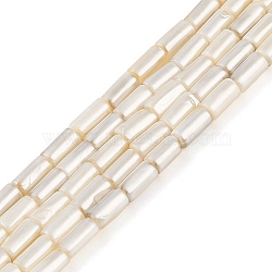 Electroplated Natural Freshwater Shell Beads Strands, Column, WhiteSmoke, 8x4~4.5mm, Hole: 0.8mm, about 50pcs/strand, 15.94 inch(40.5cm)(BSHE-G036-23)