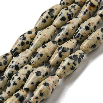 Natural Dalmatian Jasper Beads Strands, Bicone, 14~15x6mm, Hole: 1mm, about 25~26pcs/strand, 14.57~15.16''(37~38.5cm)