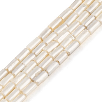 Electroplated Natural Freshwater Shell Beads Strands, Column, WhiteSmoke, 8x4~4.5mm, Hole: 0.8mm, about 50pcs/strand, 15.94 inch(40.5cm)
