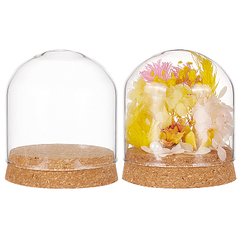 Glass Dome Cover, Decorative Display Case, Cloche Bell Jar Terrarium with Cork Base, Arch, Clear, 80x91mm