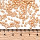 トーホー8/0ラウンドビーズ(SEED-XTR08-0123D)-3