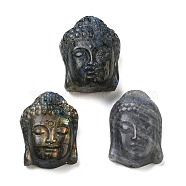 Natural Labradorite Carved Cabochons, Buddha Head, 28x19.5~22.5x9.5~13.5mm(G-C152-12)