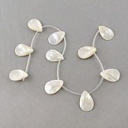 Natural Sea Shell Beads Strands, Top Drilled Beads, Teardrop, Creamy White, 30.5x21x4.5mm, Hole: 1.5mm, about 10pcs/strand, 16.3 inch(SSHEL-Q296-01)
