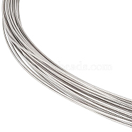 Titanium Steel Wire, Round, Stainless Steel Color, 20 Gauge, 0.8mm, about 65.62 Feet(20m)/Bundle(TWIR-WH0002-20B)