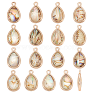 16Pcs Natural Paua Shell Pendants, Teardrop Charms, with Light Gold Tone Brass Findings, 16x10x3.5mm, Hole: 1.4mm(SHEL-BC0001-030)