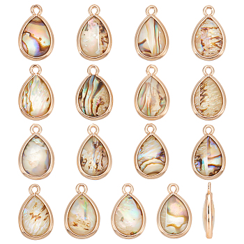 16Pcs Natural Paua Shell Pendants, Teardrop Charms, with Light Gold Tone Brass Findings, 16x10x3.5mm, Hole: 1.4mm