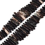 Natural Biotite Beads Strands, Irregular Stick, Top Drillded, 12~49x3~9x4~9mm, Hole: 0.8~1mm, about 55~68pcs/strand, 14.76~17.13 inch(37.5~43.5cm)(G-Q616-06A)