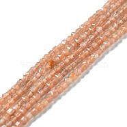 Natural Orange Sunstone Beads Strands, Faceted, Cube, 2.5x2.5x2.5mm, Hole: 0.7mm, about 170pcs/strand, 15.35''(39cm)(G-D467-A12)