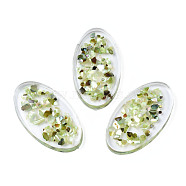 Transparent Acrylic Cabochons, with Shell, Oval, Yellow Green, 44x25x5mm(TACR-N006-66B)