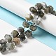 Natural Labradorite Beads Strands(G-E578-03)-2