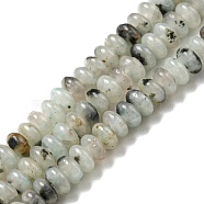 Natural Sesame Jasper Beads Strands, Rondelle, 4~4.5x2~2.5mm, Hole: 1.2mm, about 155~163pcs/strand, 15.24''~15.31''(38.7~38.9cm)(G-K343-C09-01)