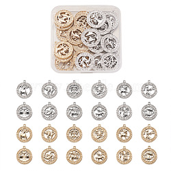 Fashewelry 2 Sets 2 Colors Zinc Alloy Jewelry Pendant Accessories, Flat Round with Twelve Constellations, Platinum & Light Gold, Mixed Color, 20x20mm, Hole: 2mm, 12 constellations, 1pc/constellation, 12pcs/set, 1set/color(FIND-FW0001-06)