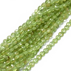 Natural Peridot Beads Strands, Faceted, Flat Round, 3.5~4x2~3mm, Hole: 0.6mm, about 102~110pcs/strand, 15.35~15.51 inch(39~39.4cm)(G-I249-A13)