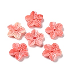 Synthetic Shell Dyed Beads, Flower, Salmon, 19x19.5x4mm, Hole: 1.6mm(SHEL-K007-04)
