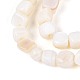 Natural Freshwater Shell Beads Strands(BSHE-T014-51B)-3