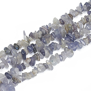 Natural Iolite Beads Strands, Chip, 5~11x3~9x1~9mm, Hole: 1mm, about 200~300pcs/strand, 33.8 inch(X-G-S314-10)