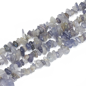 Natural Iolite Beads Strands, Chip, 5~11x3~9x1~9mm, Hole: 1mm, about 200~300pcs/strand, 33.8 inch