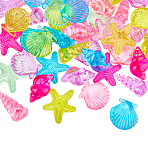 69Pcs 2 Style Transparent Acrylic Beads, Shell & Starfish, Mixed Color, 31.5~39x20~38x9~18mm, about 45pcs/250g, 250g/set(TACR-AR0001-03)