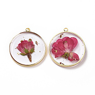 Transparent Clear Epoxy Resin Pendants, with Edge Golden Plated Brass Loops and Gold Foil, Flat Round Charms with Inner Flower, Crimson, 33.8x30x4mm, Hole: 2.5mm(RESI-L036-12G-12)