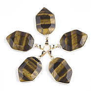 Natural Tiger Eye Pendants, with Brass Findings, Faceted, Shield, Golden, 36x22.5x6mm, Hole: 8x4.5mm(G-S344-12A)