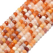 Natural Ocean Agate Beads Strands, Faceted, Rondelle, 2~2.5x2mm, Hole: 0.5mm, about 223~226pcs/strand, 14.96~15.16 inch(38~38.5cm)(G-G106-A41-01)