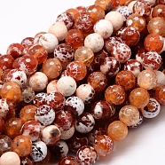 Dyed Natural Agate Faceted Round Beads Strands, Coral, 16mm, Hole: 1mm, about 25pcs/strand, 15.3 inch(G-E320C-16mm-06)