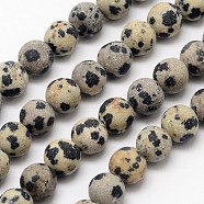 Natural Dalmatian Jasper Beads Strands, Frosted, Round, 8mm, Hole: 1mm, about 48pcs/strand, 15.1 inch(G-D685-8mm)